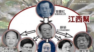 王友群：曾庆红亲信苏荣把家变“权钱交易所”