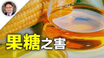 【四維健康】健康殺手：果糖 和蔗糖到底是什麼關係？