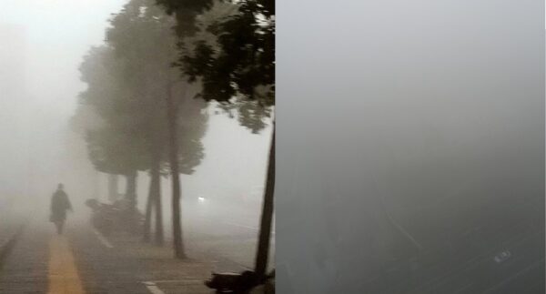 上海陰霾籠罩 海陸停運 航班取消 多段高速路封閉