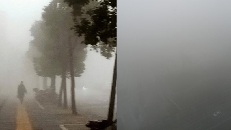 上海阴霾笼罩 海陆停运 航班取消 多段高速路封闭