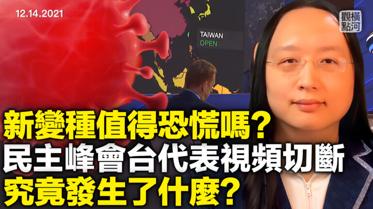 【橫河觀點】民主峰會台代表視頻切斷 發生了什麼？