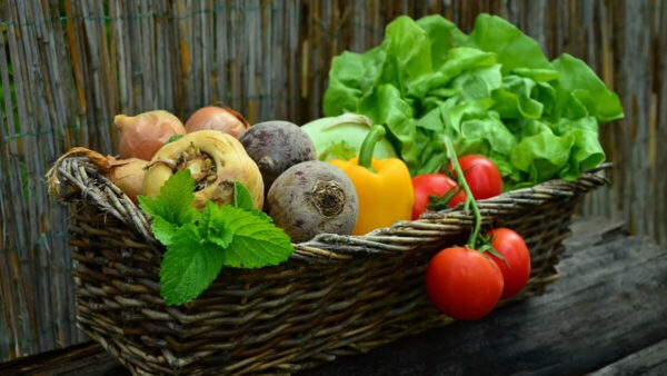 9種天然好食物 吃出超強免疫力