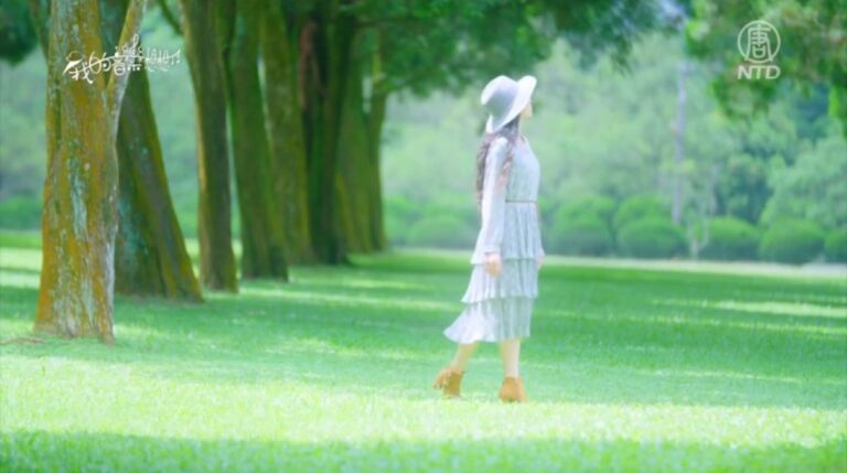我的音樂想想：寧靜舒適的音樂漫遊台灣中部