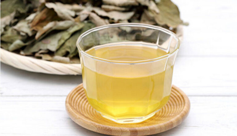 4種天然草藥和營養素 抗冠狀病毒