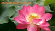 教育系統法輪功學員恭祝李洪志大師新年好(19條)