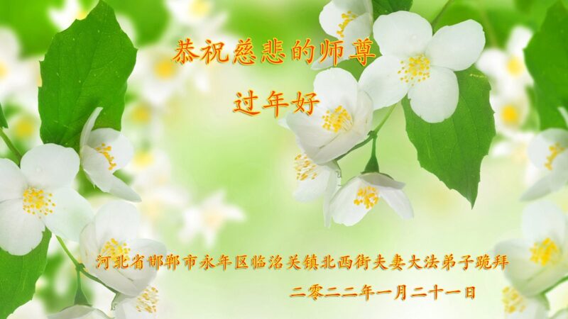 河北法輪功學員恭祝李洪志大師新年好(22條)