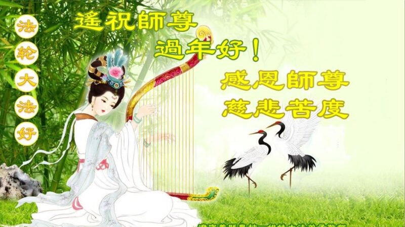 乡村法轮功学员恭祝李洪志大师新年好(28条)