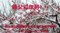 鄉村法輪功學員恭祝李洪志大師新年好(24條)
