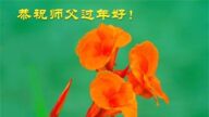 中國各地學法點法輪功學員恭祝李洪志大師過年好