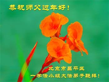 中國各地學法點法輪功學員恭祝李洪志大師過年好