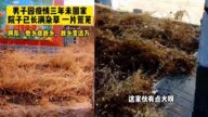 河北男因疫情三年沒回家 打開家門驚呆了（視頻）