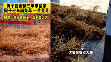 河北男因疫情三年沒回家 打開家門驚呆了（視頻）