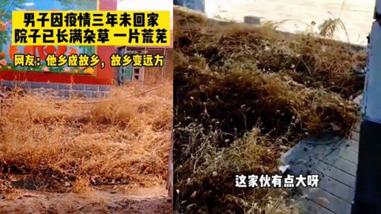 河北男因疫情三年沒回家 打開家門驚呆了（視頻）