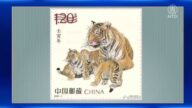 中国虎年生肖邮票来了 被吐槽不吉利