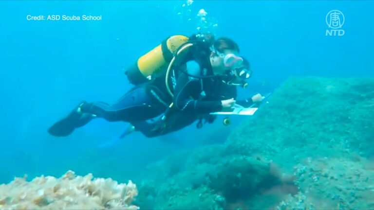 加州全年宜潛水 龍蝦海膽成熱門伴手禮
