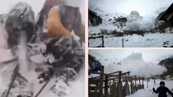 驚悚！雲南雪崩 遊客奔逃 漫天雪浪在身後緊追（視頻）