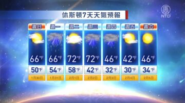 休斯顿一周天气预报