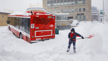 幫他人鏟雪9歲男孩因「一聲嘆息」而成名