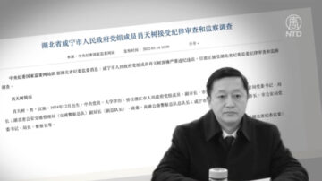 【落馬官員】湖北咸寧前政法委副書記肖天樹被查 曾迫害法輪功