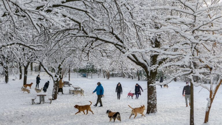 紐約本季首場大雪 中央公園變身冬日仙境