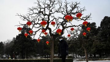 今日“大寒” 春天不远 中国年味渐浓