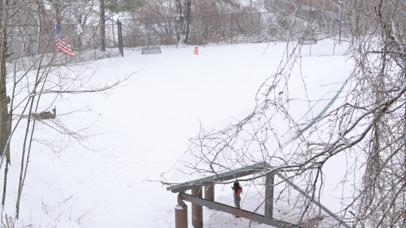 紐約或迎大規模降雪 伴隨強風