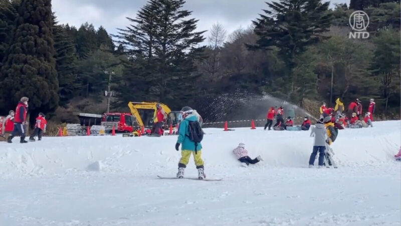 神户六甲山雪地公园 全家冬季拾趣好去处