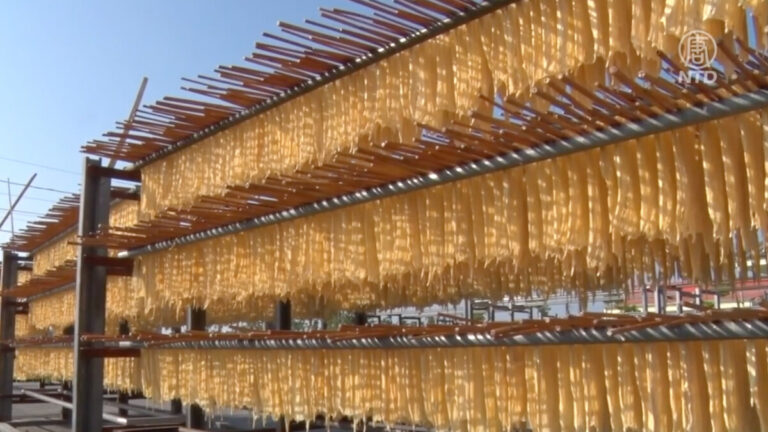 傳統手工好滋味 美濃「柴燒豆皮」飄香一甲子