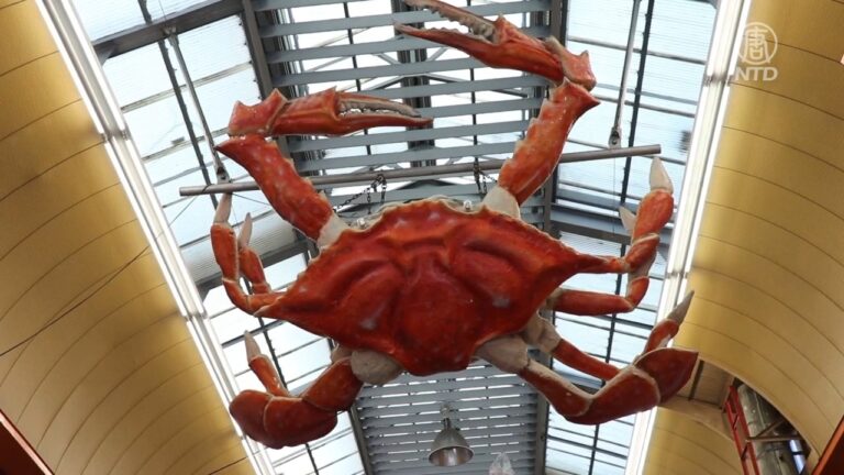 大阪黑門市場人聲鼎沸 新年辦年貨好熱鬧