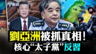 【拍案惊奇】刘亚洲被抓真相 核心太子党反习？