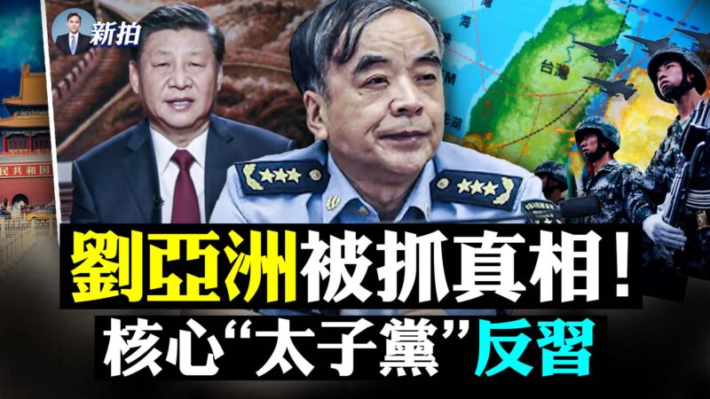 刘亚洲被抓真相 核心太子党反习？