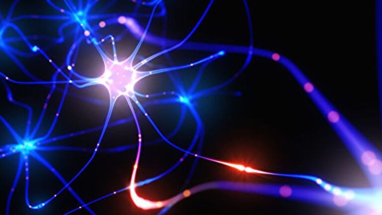 新研究發現人腦中「時間細胞」