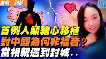 【秦鵬直播】首例人類豬心移植 對中國為何非福音？