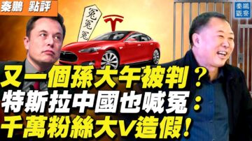 【秦鹏直播】又一孙大午被判？特斯拉中国也喊冤