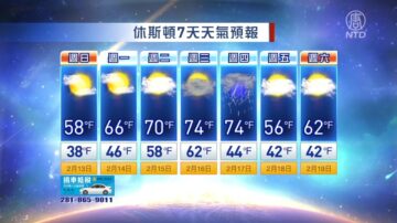 休斯顿一周天气预报