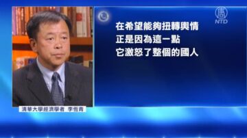 多所高校为八孩母案连署 清华学者：国人愤怒