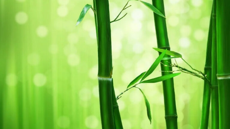 中國七個神祕之地 千古未解之謎