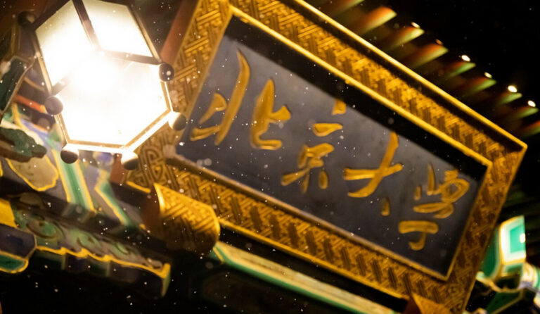 按比例劃右派 7名北大生被處死 林昭在內