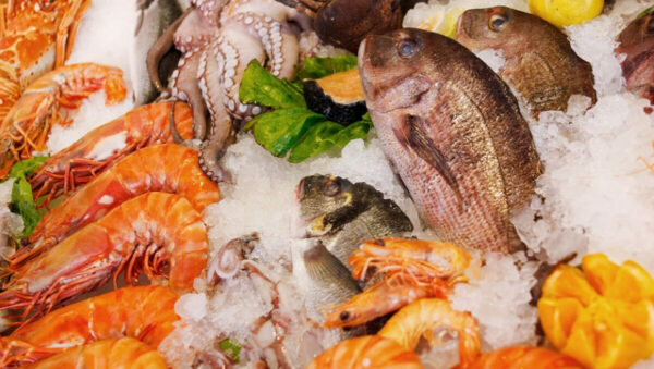 健康的海鲜炖菜食谱