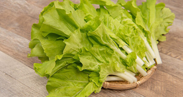 小白菜是高钙蔬菜 还助解毒 4招避免农药下肚