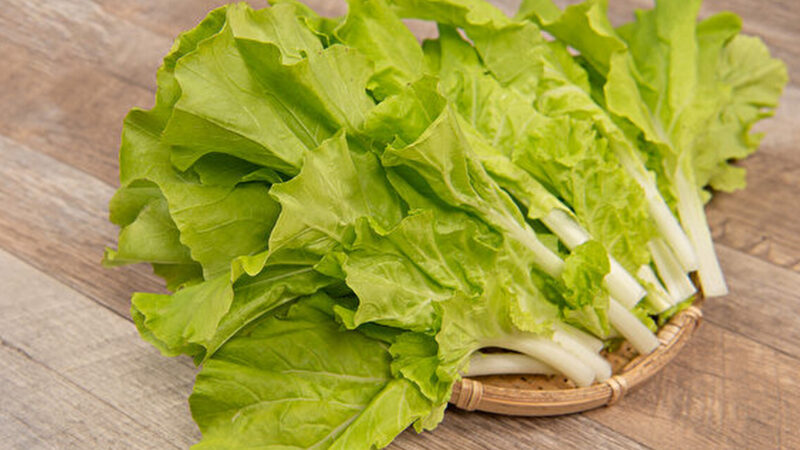 小白菜是高钙蔬菜 还助解毒 4招避免农药下肚
