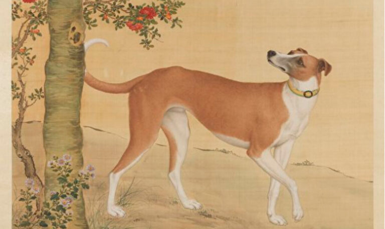 特別的信使：黃耳傳書 商犬救急