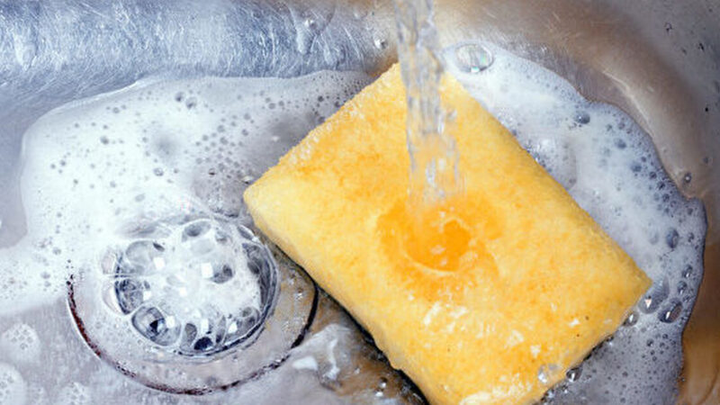 洗碗用的海绵很脏 研究：最适合细菌繁殖