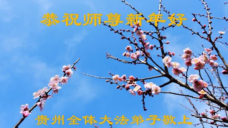 貴州、海南、河南法輪功學員恭祝李洪志大師新年好(34條)