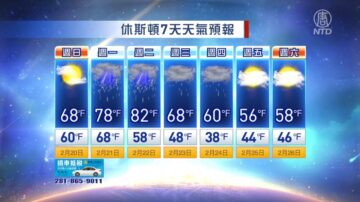 休斯顿一周天气预报