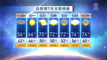 休斯顿一周天气预报