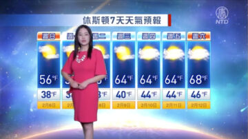 休斯顿一周天气预报