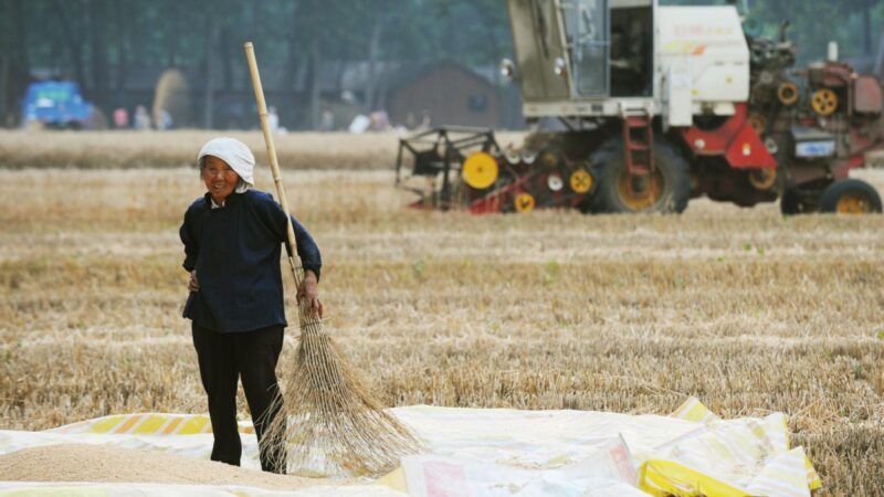 準備缺糧少錢 中共一號文件：避免大規模返貧