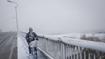 中國多省暴雪 浙皖800多輛車被困高速