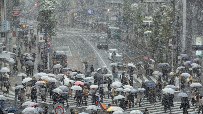 东京都恐降大雪 逾200航班停飞 铁路部分停驶
